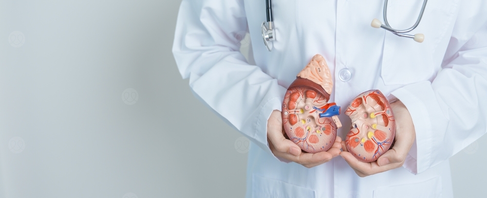 اختبار وظائف الكلية