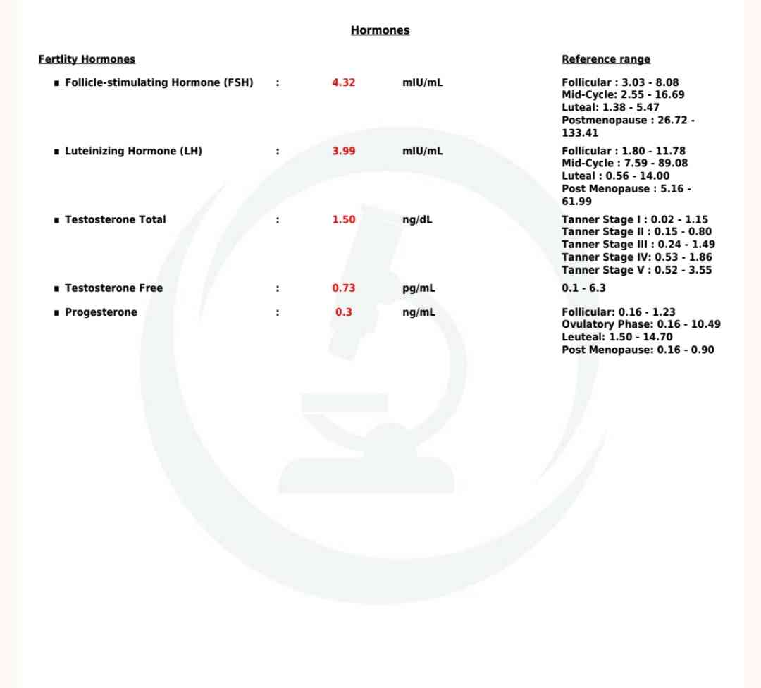 98de67de-99a3-40ef-9ec1-1a390ad01d9a