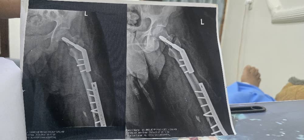 95ed46d2-9968-4a3e-83d8-8adfc515f127