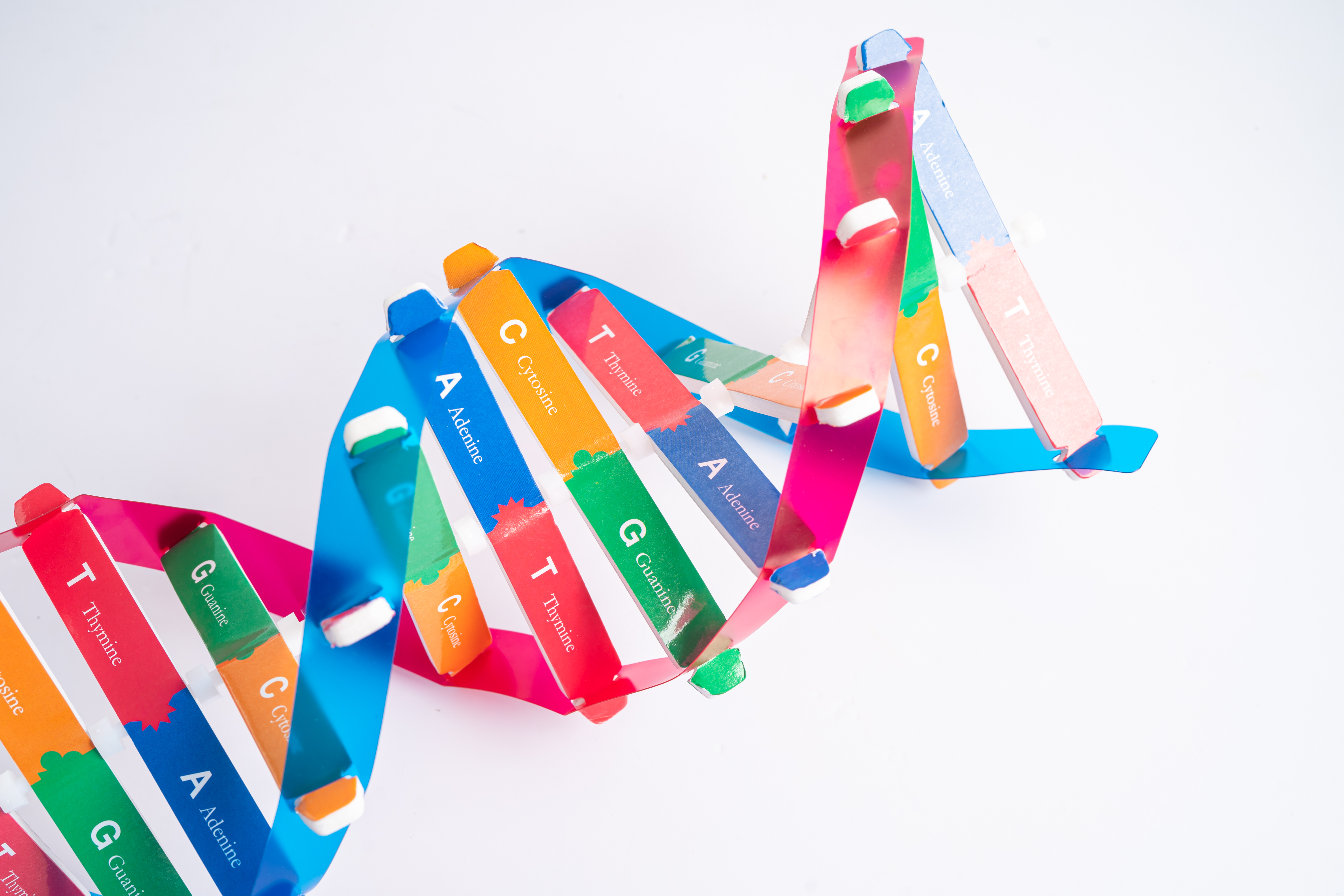 أسباب متلازمة إدوارد