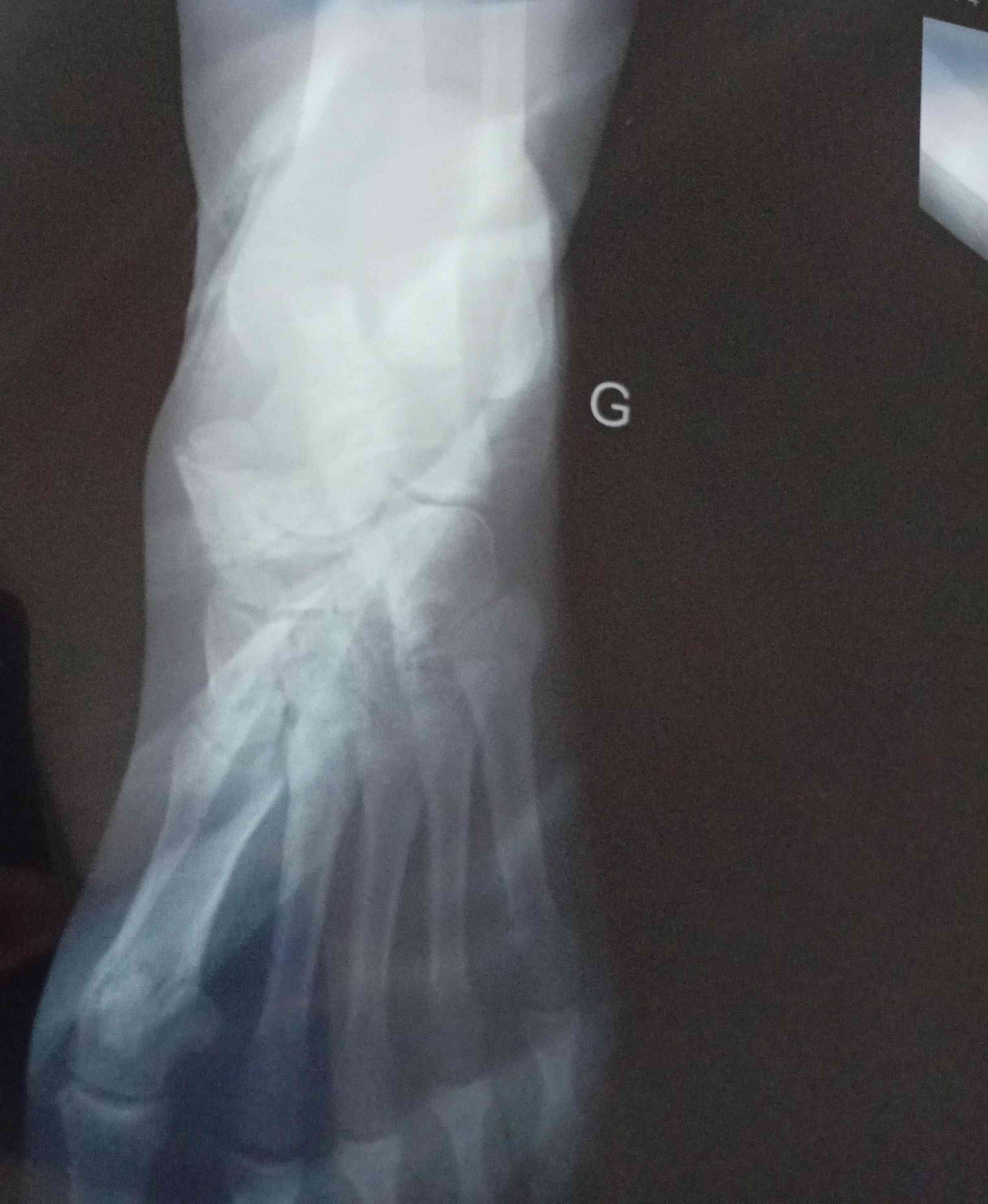 45f1146c-2ead-43b6-ab69-20128e624f25