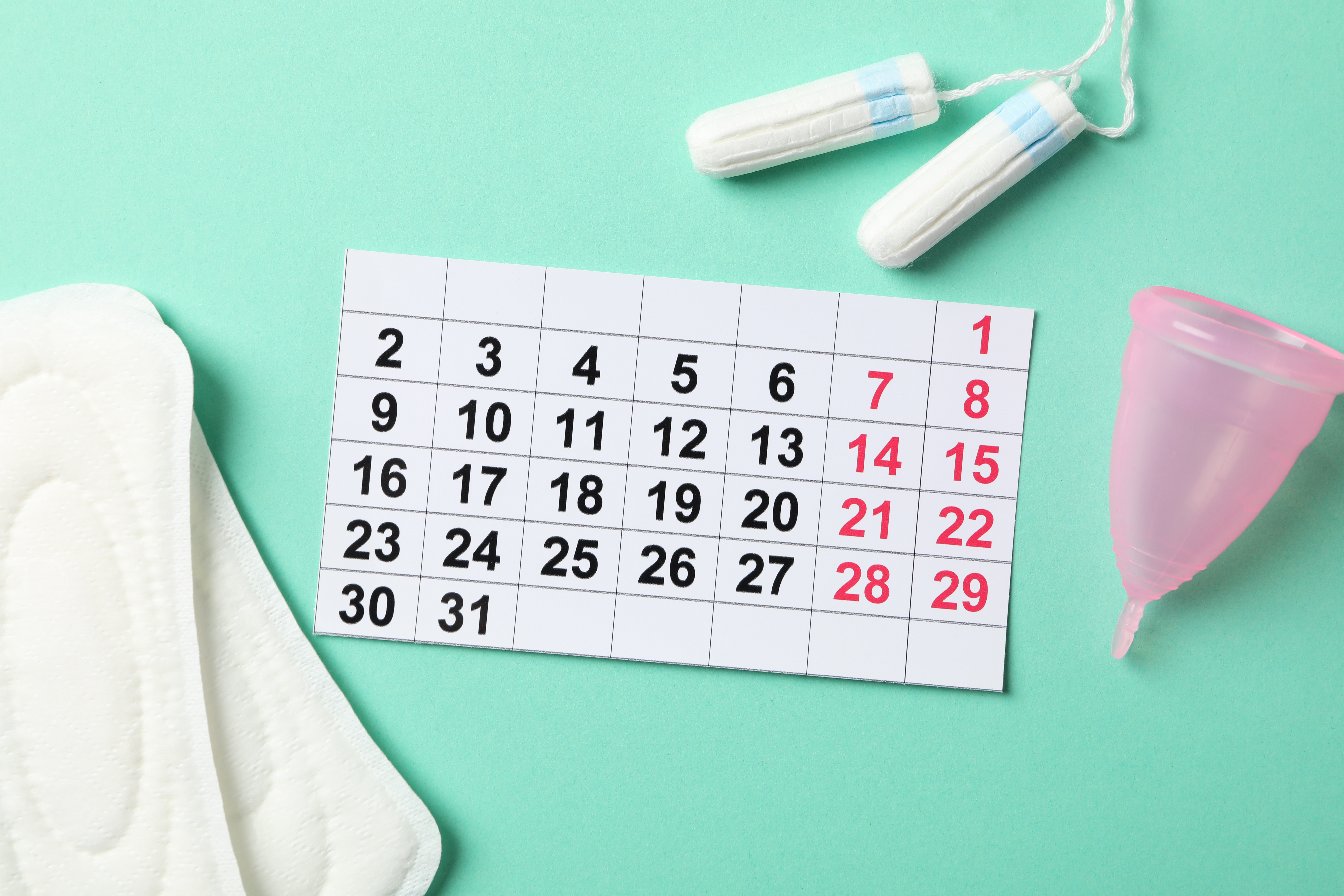 ما هي وظائف المبيض؟