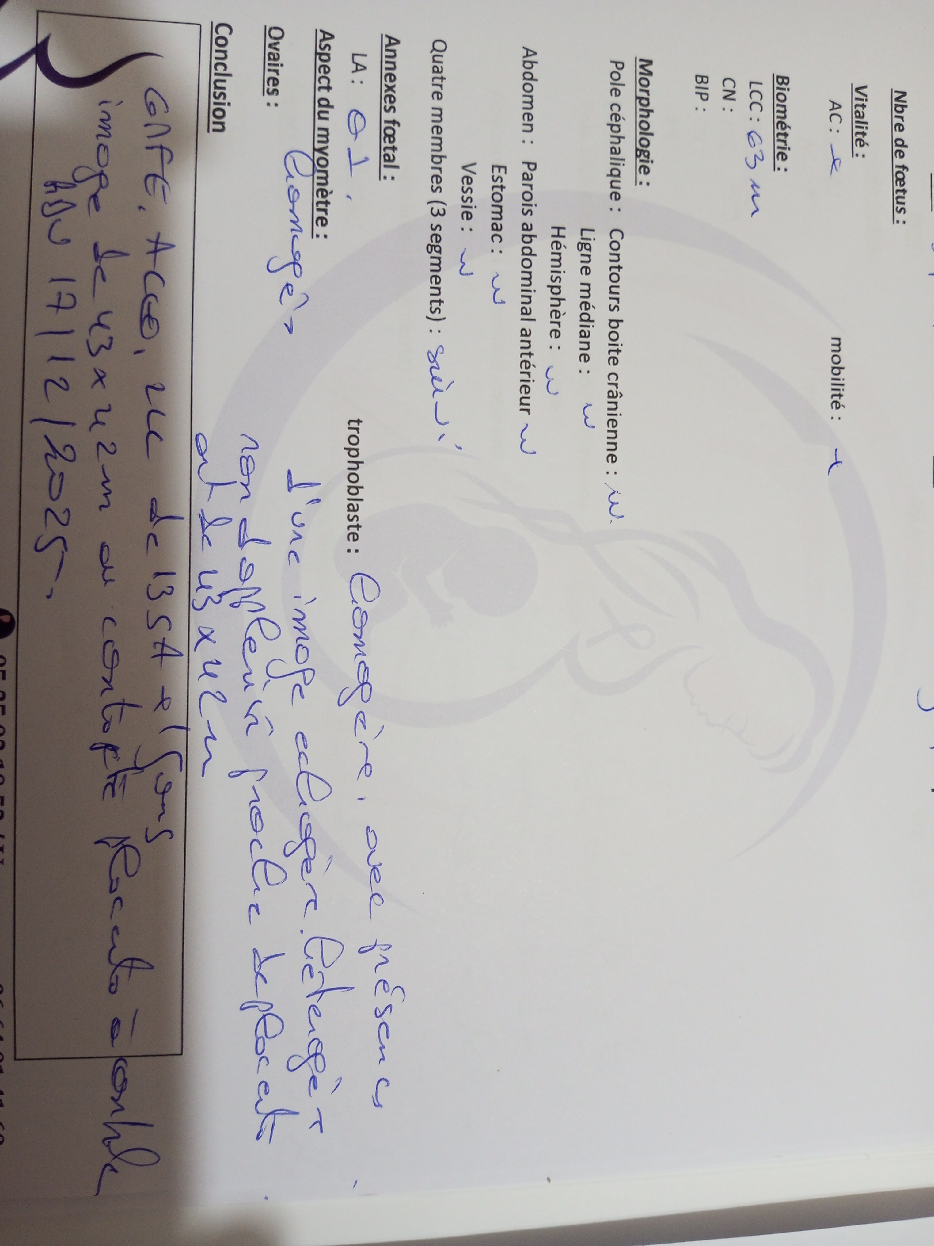 IMG_20251109_232522_011