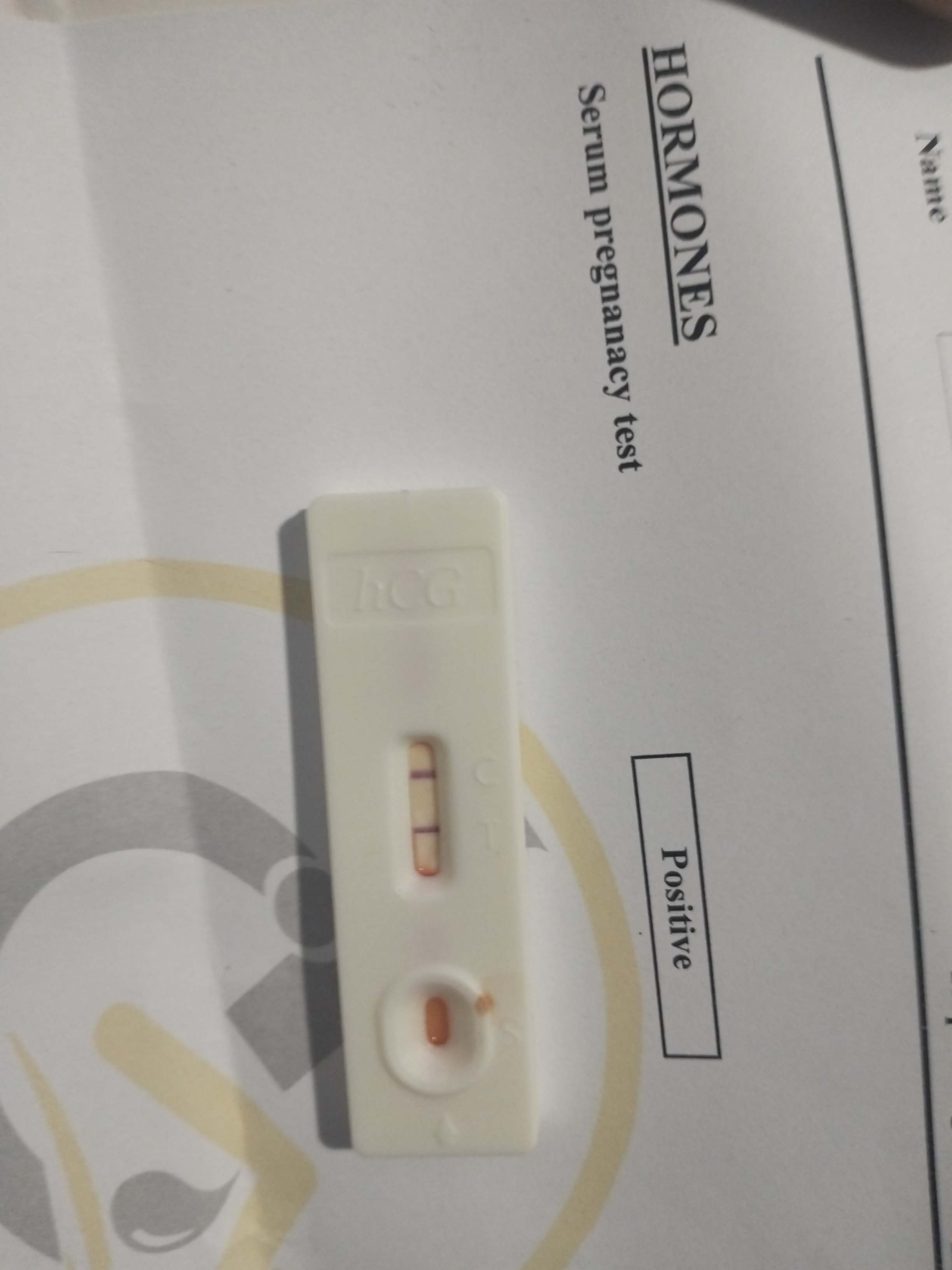 chatgpt-1763062126399