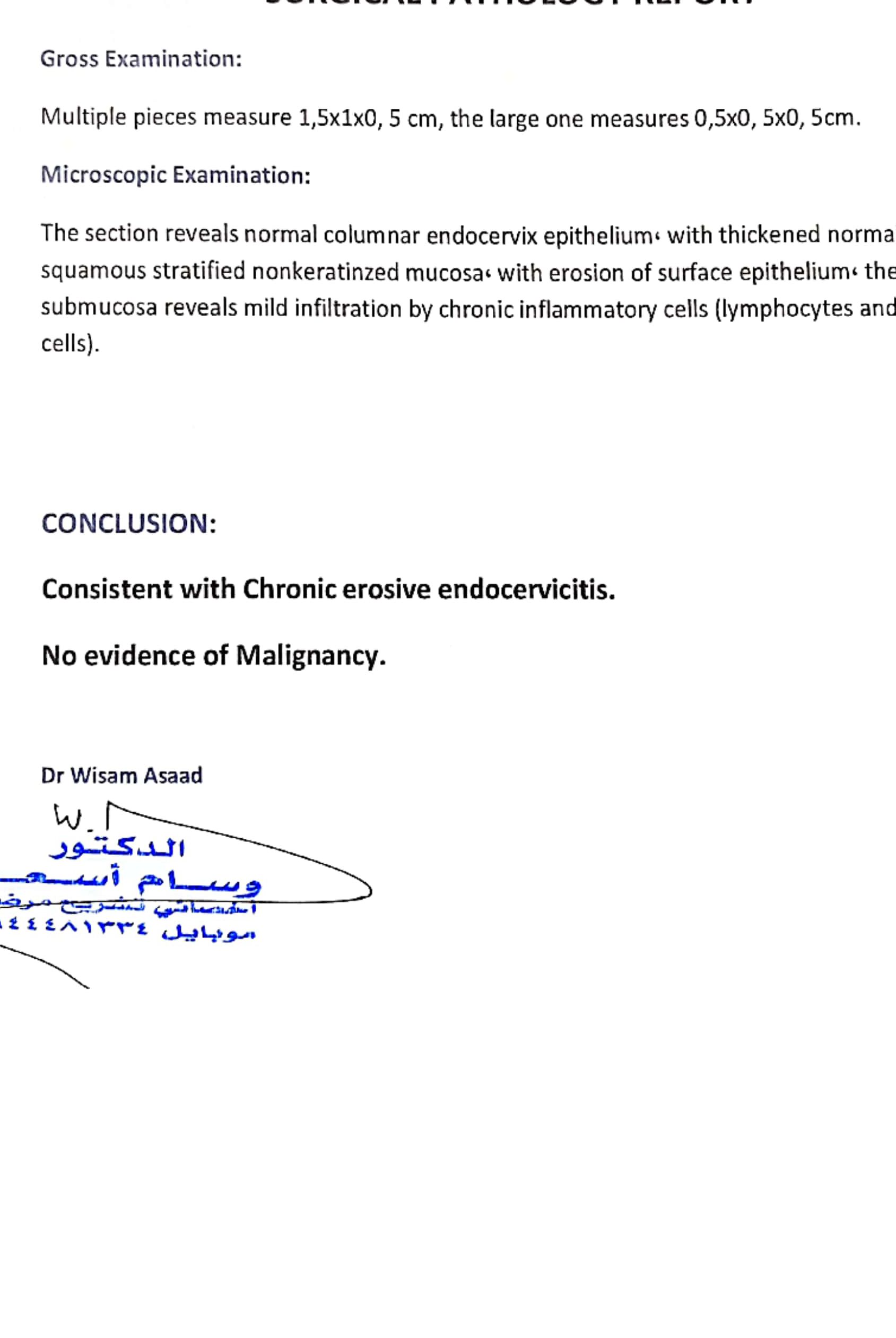 IMG-20251116-WA0015~2