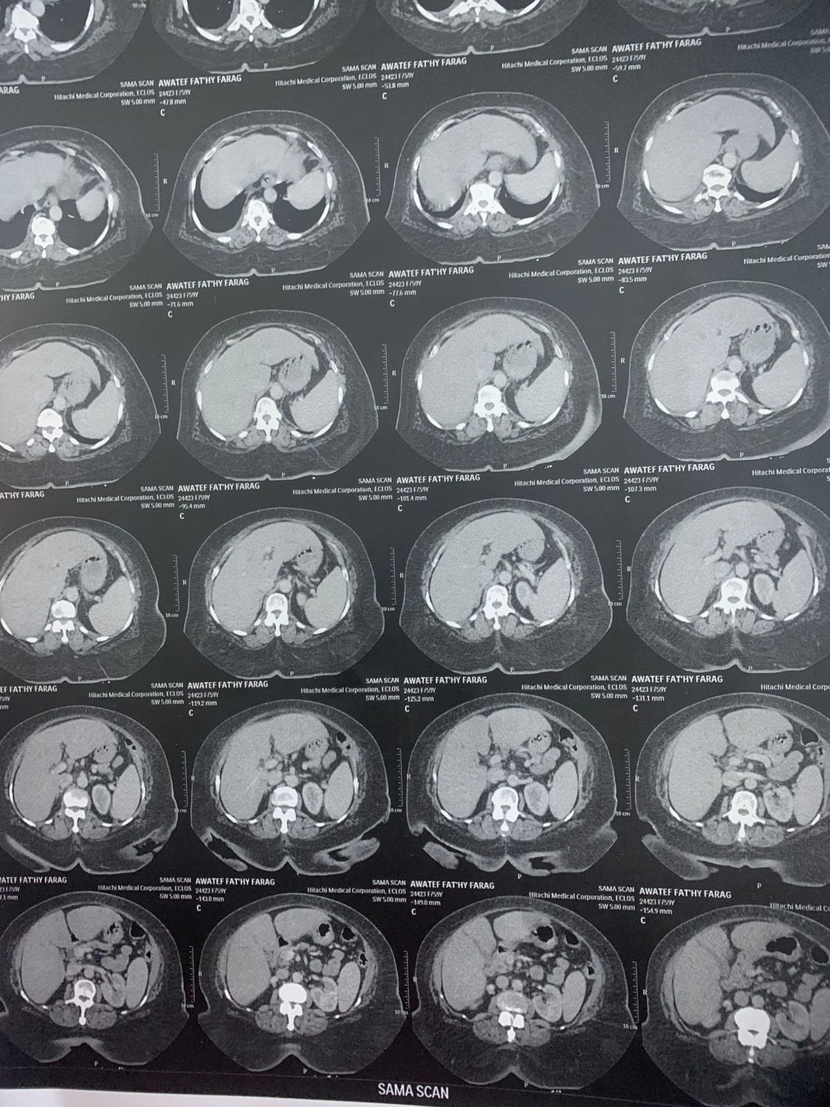 73ed84cf-4959-4c9d-ac3f-9e843c6f963f