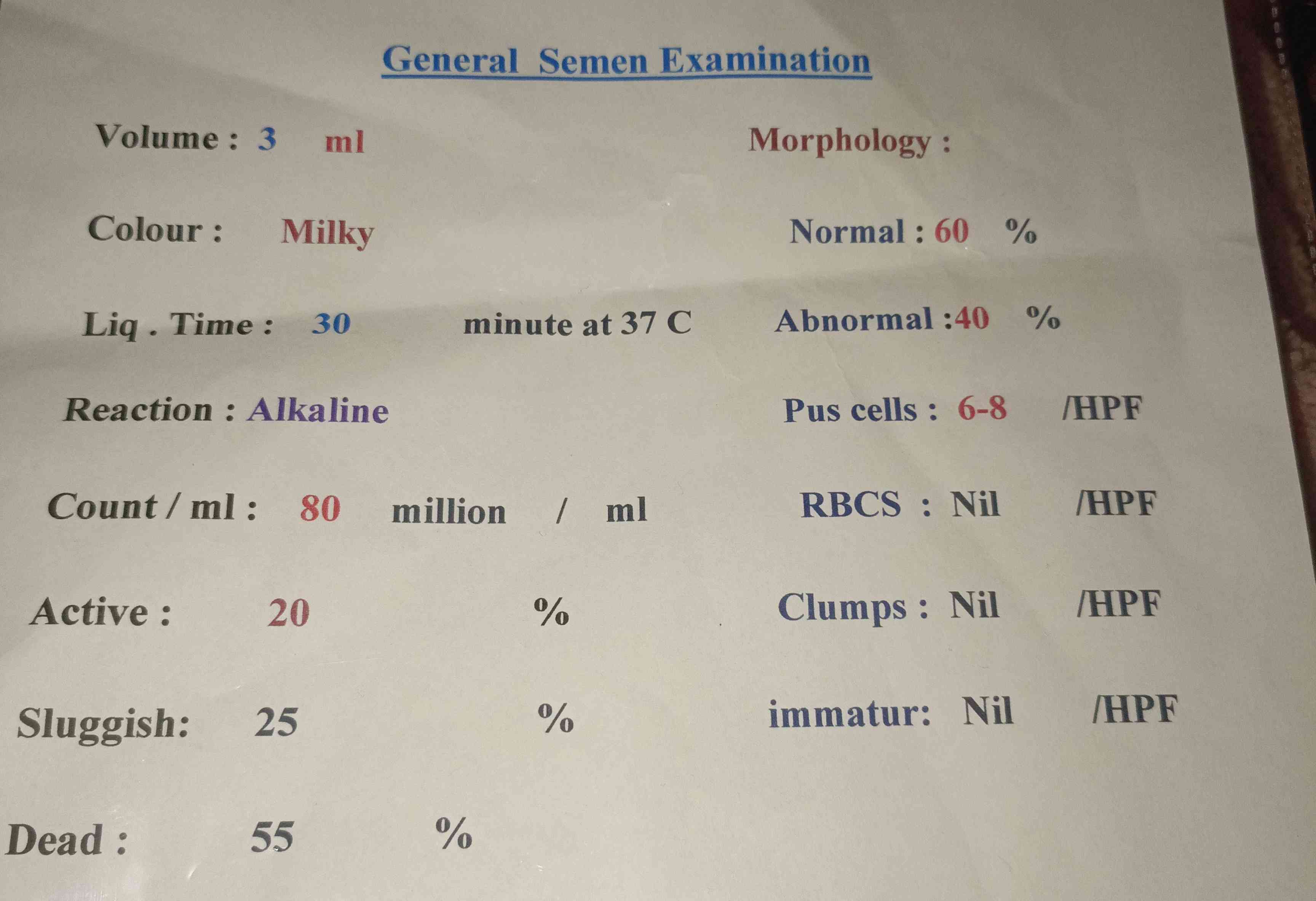 bc8f116a-1d3c-4353-8e69-4814659d8827