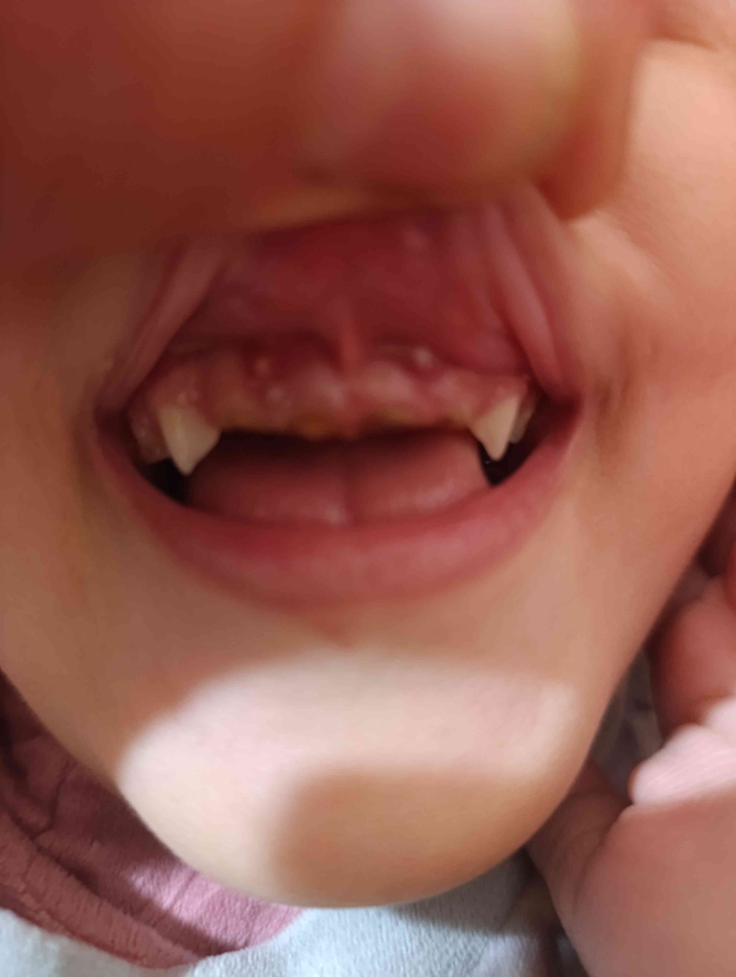 53370cf2-ce8a-4507-9f36-036e59aa7c83