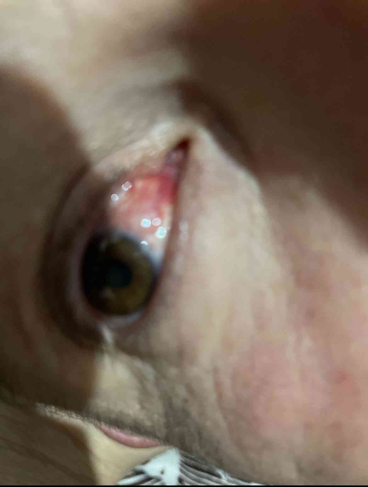 79323c49-902c-4cac-9645-a9dc3d74c7d7