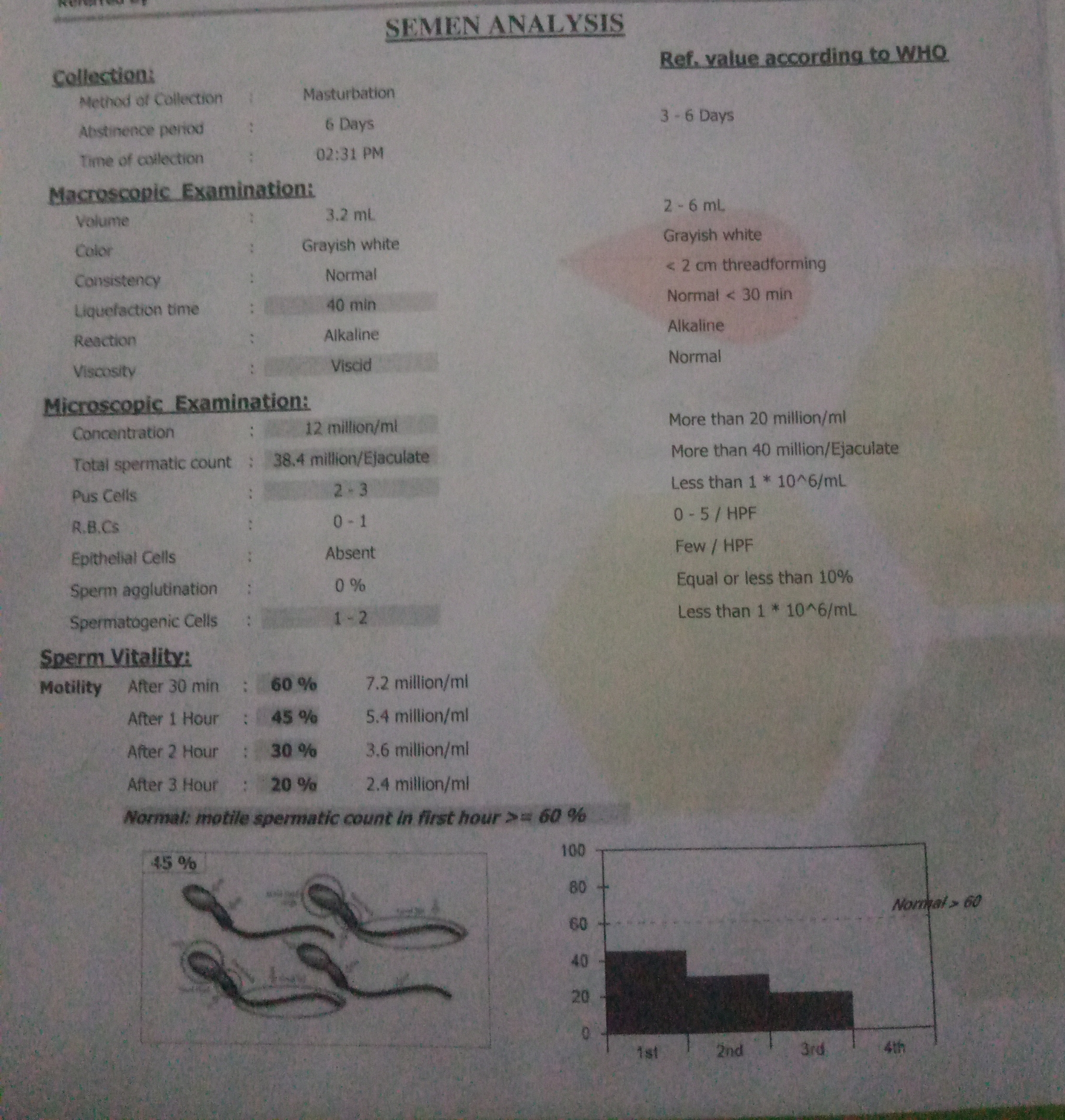 Gallery_1772035086123