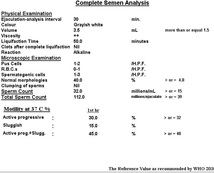 WhatsApp Image 2026-02-27 at 7.55.40 PM