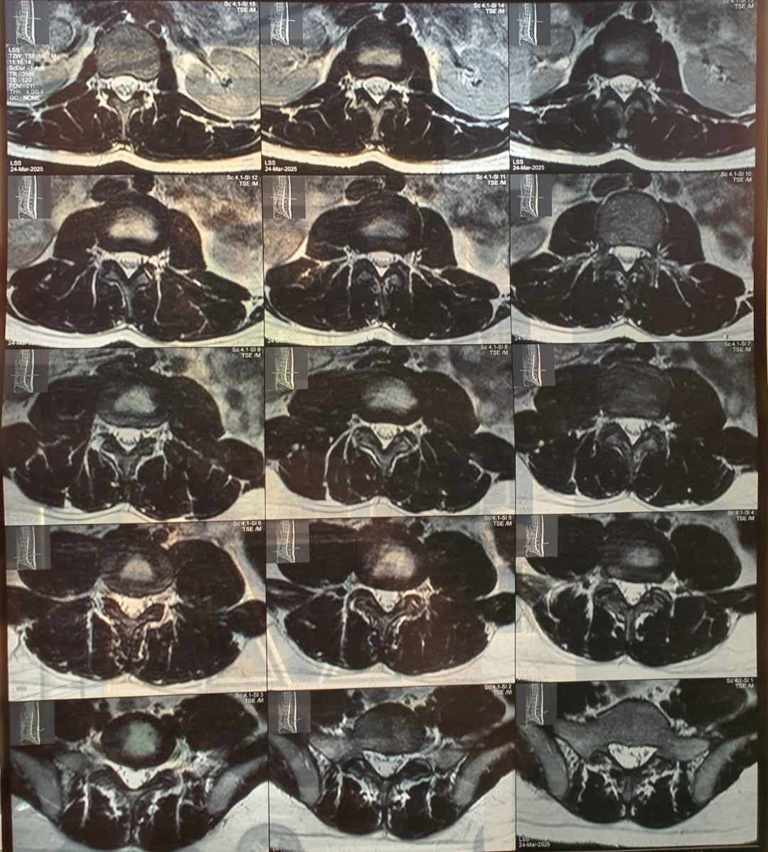 Screenshot_20260223-152614_Gallery