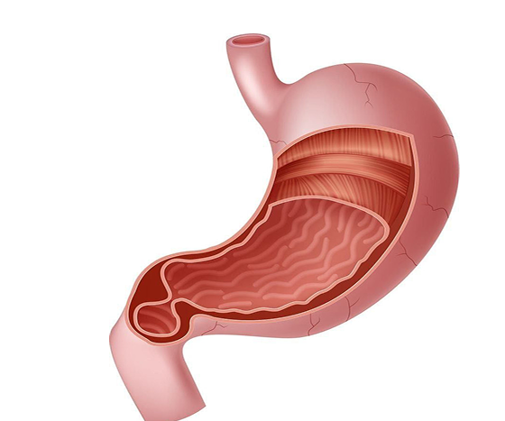 مشاكل المعدة والقرحة