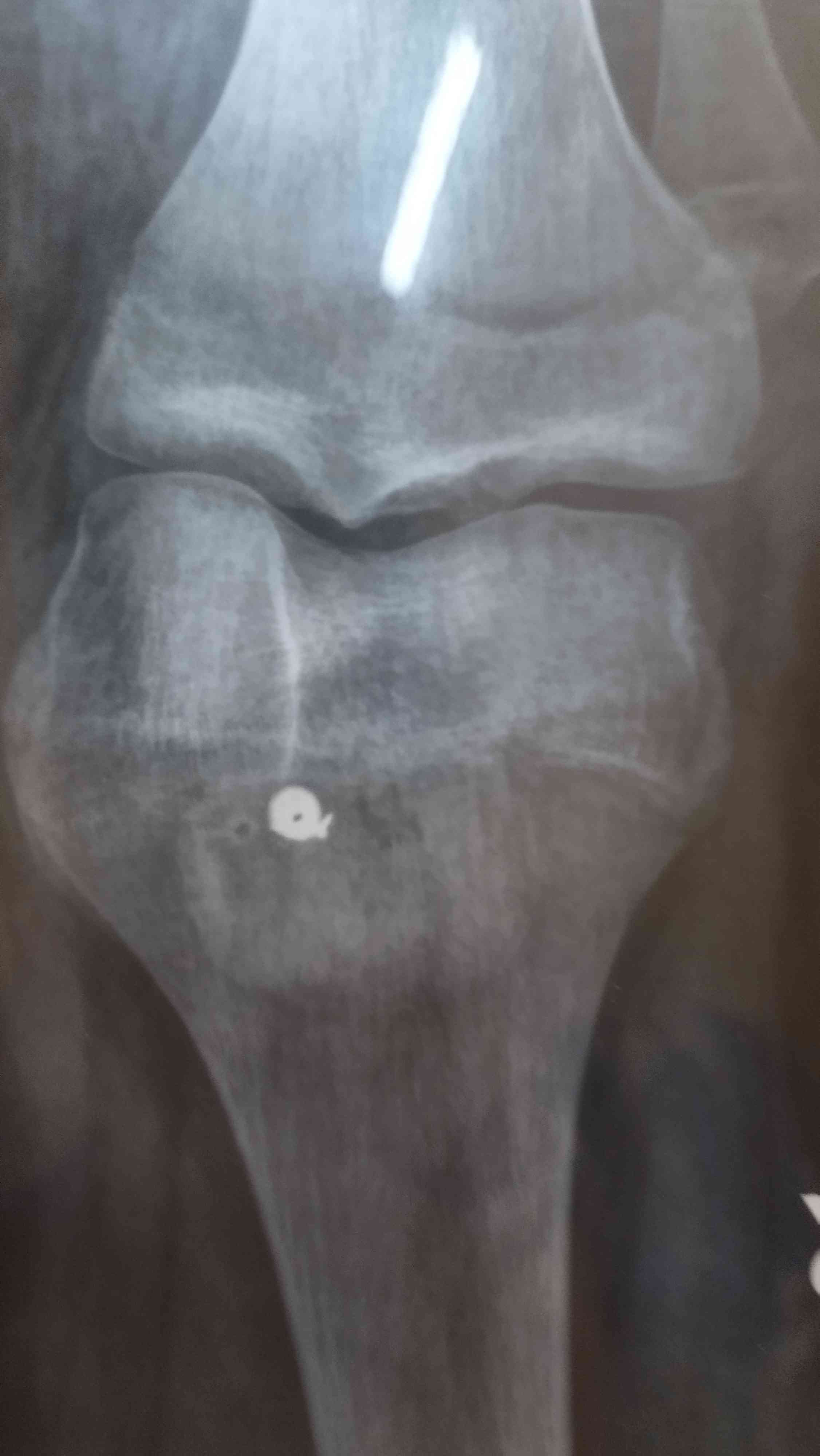 8f5c8545-e576-4572-b73d-527918eba321