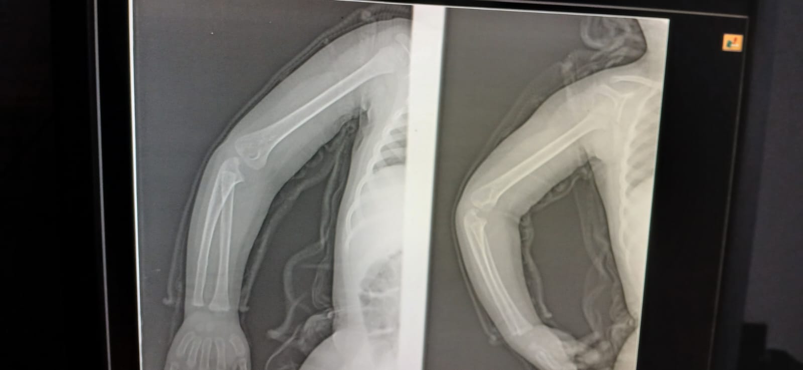 WhatsApp Image 2026-03-16 at 9.17.26 AM _1_