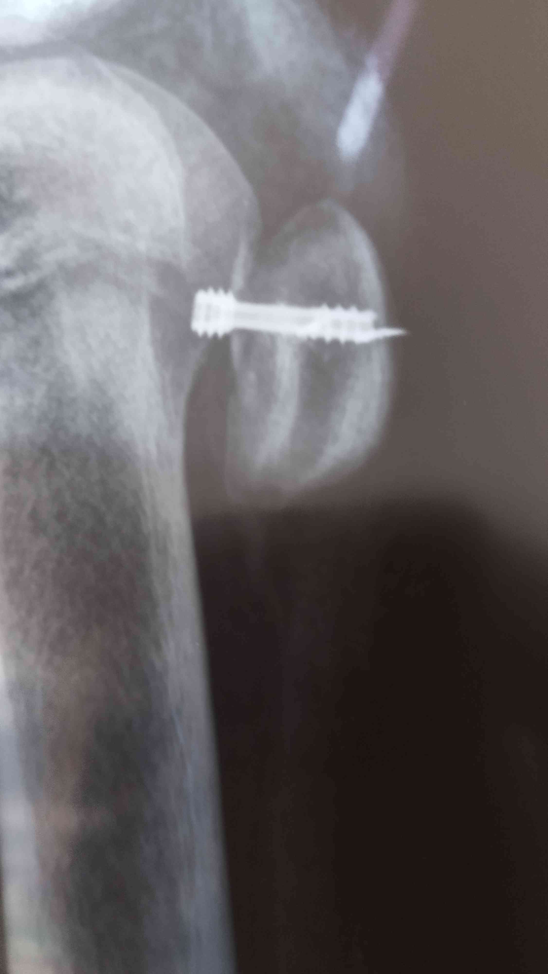 a07088d1-d091-4a0f-ba34-58627334be99