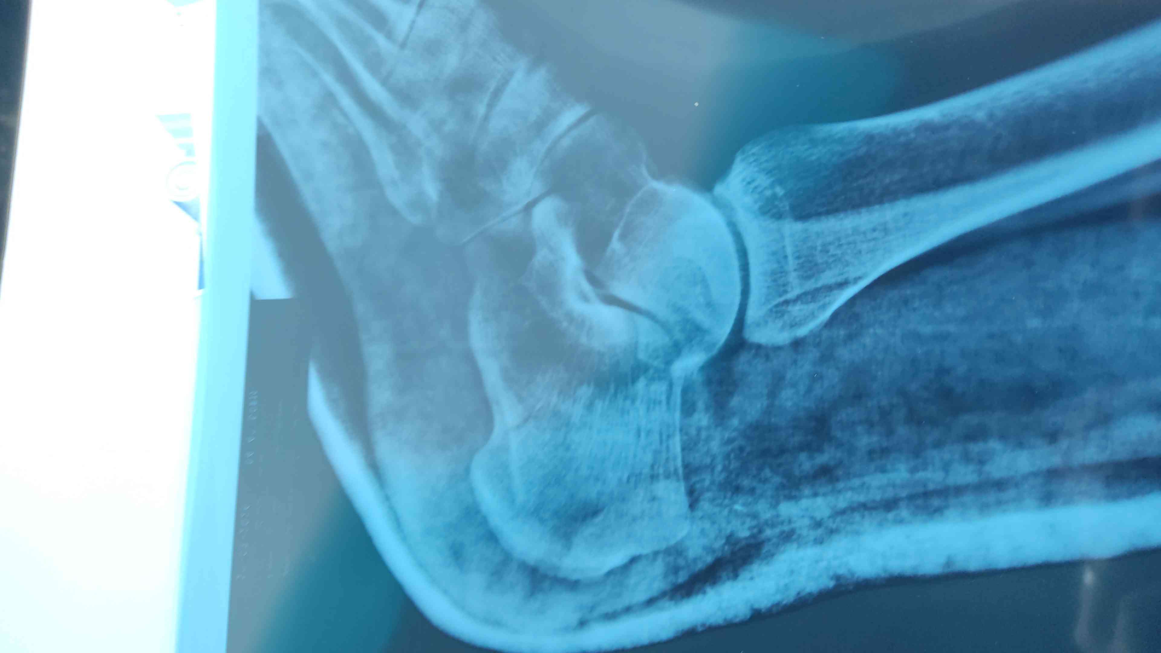 3b746db6-8f5f-42dc-86fa-44e8e17f8152