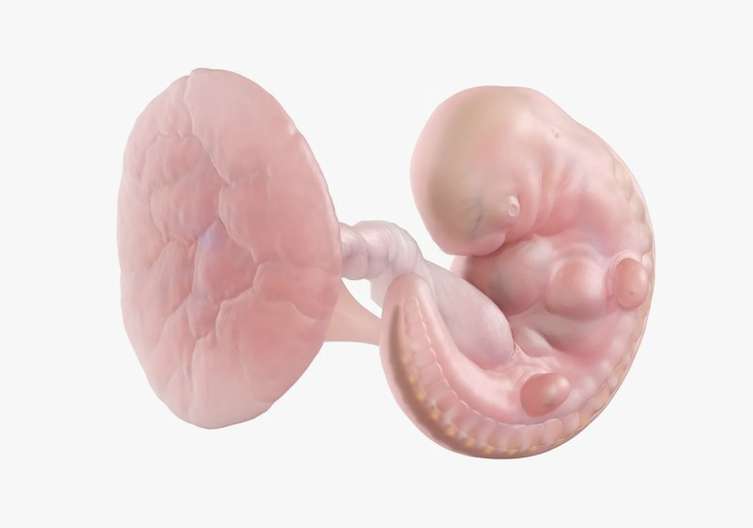 1. الشهر الأول