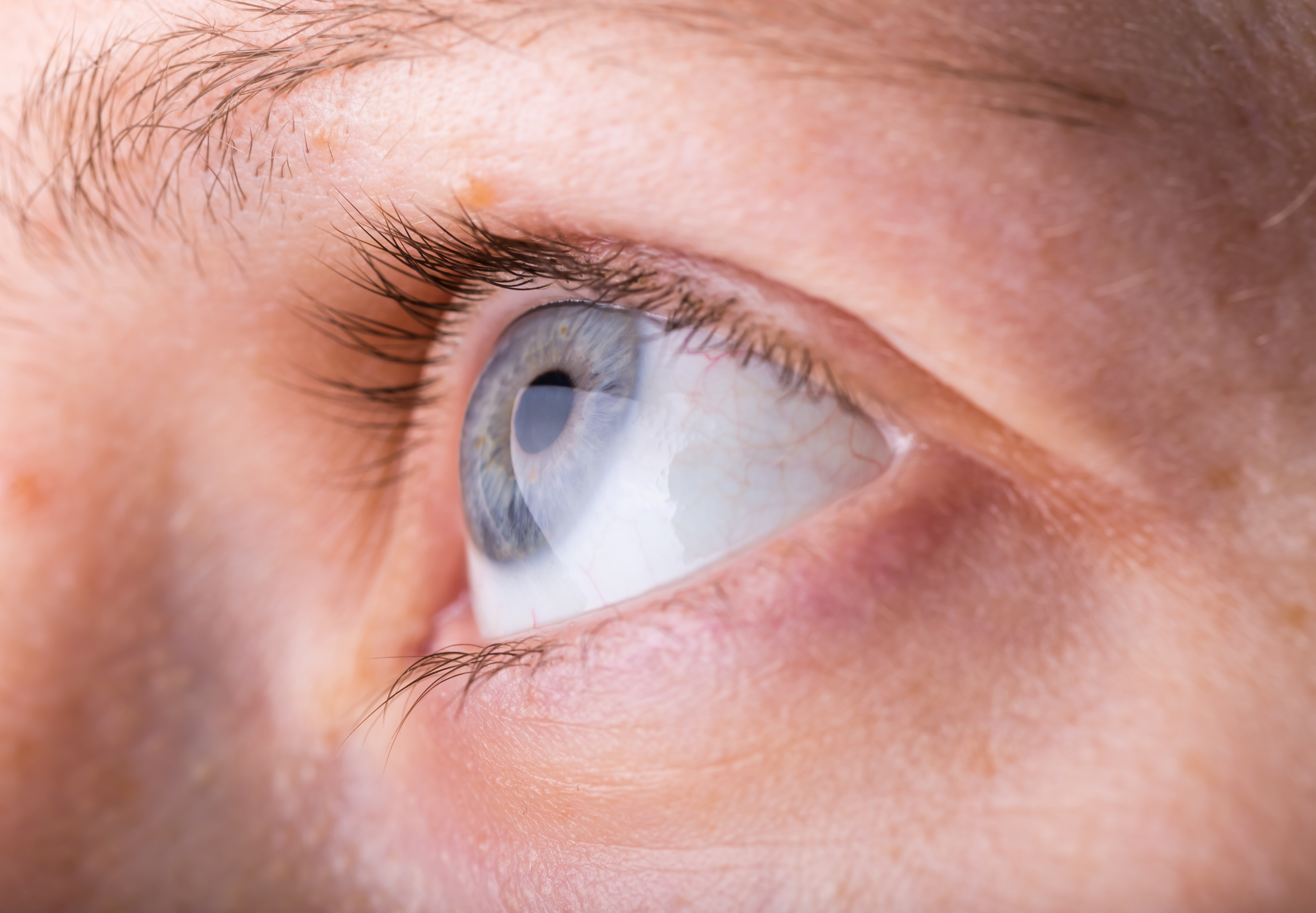 وظائف القرنية