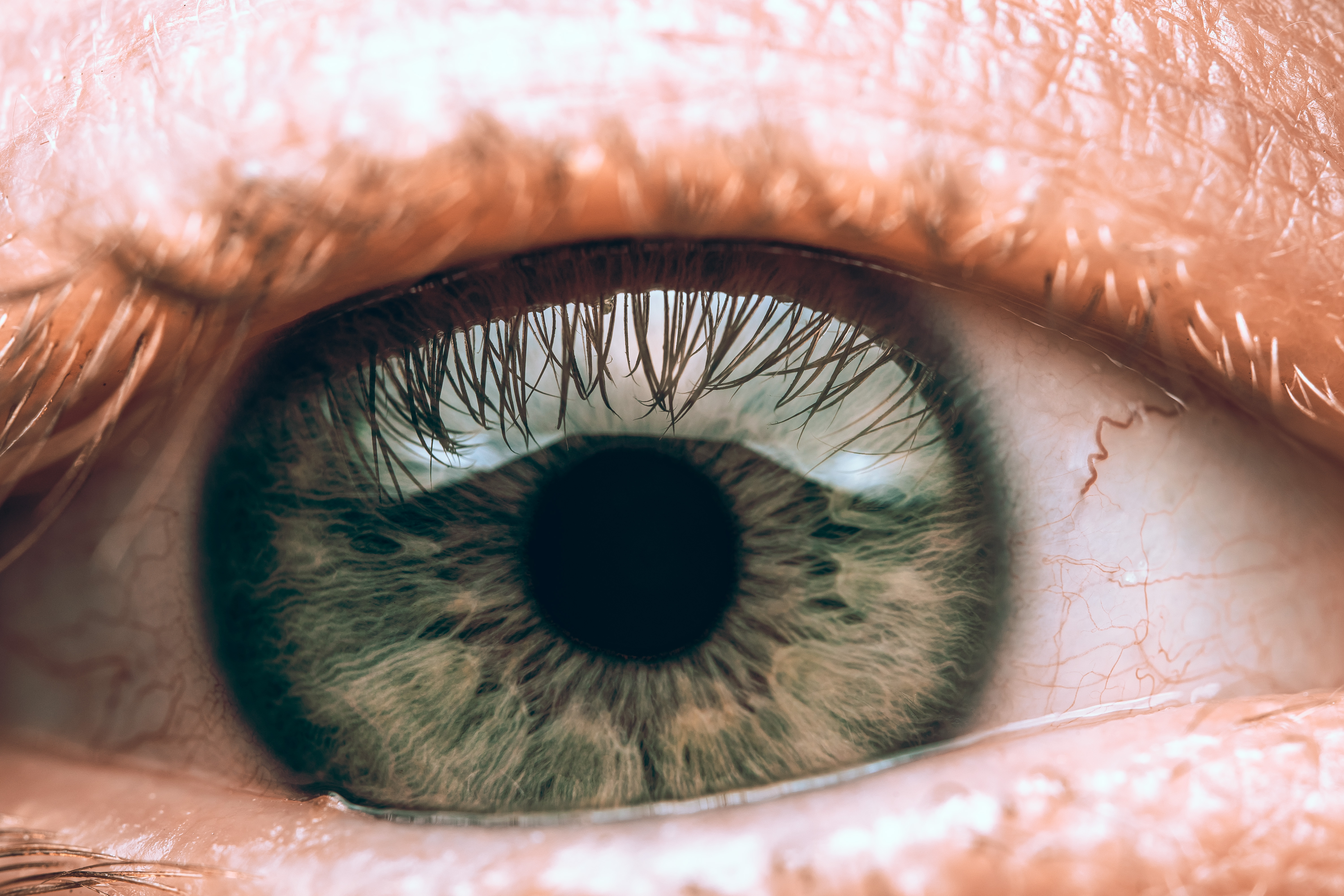 قرنية العين بالصور: أجزاؤها، وظائفها وأهم المشكلات