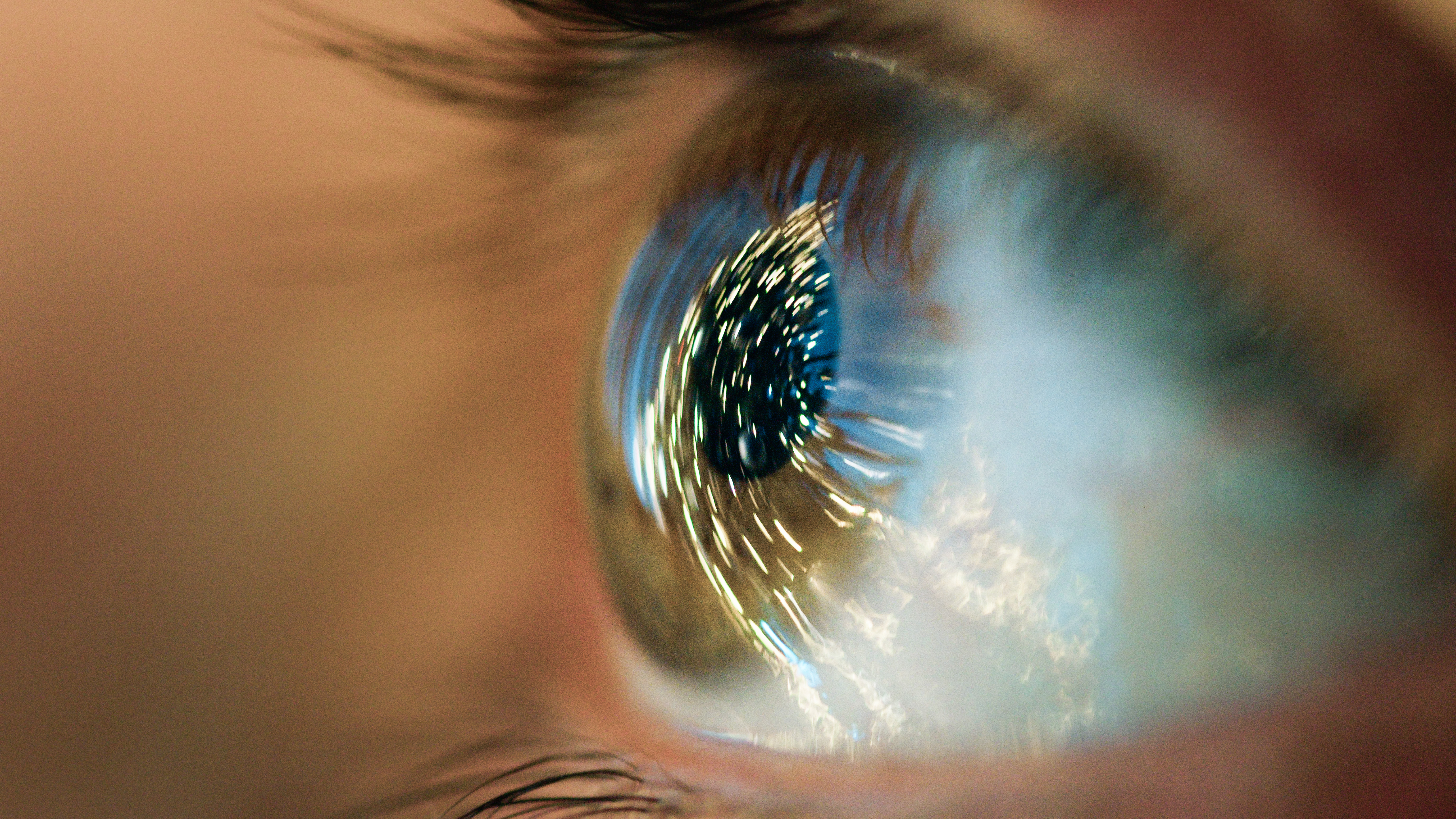 وظائف ملتحمة العين