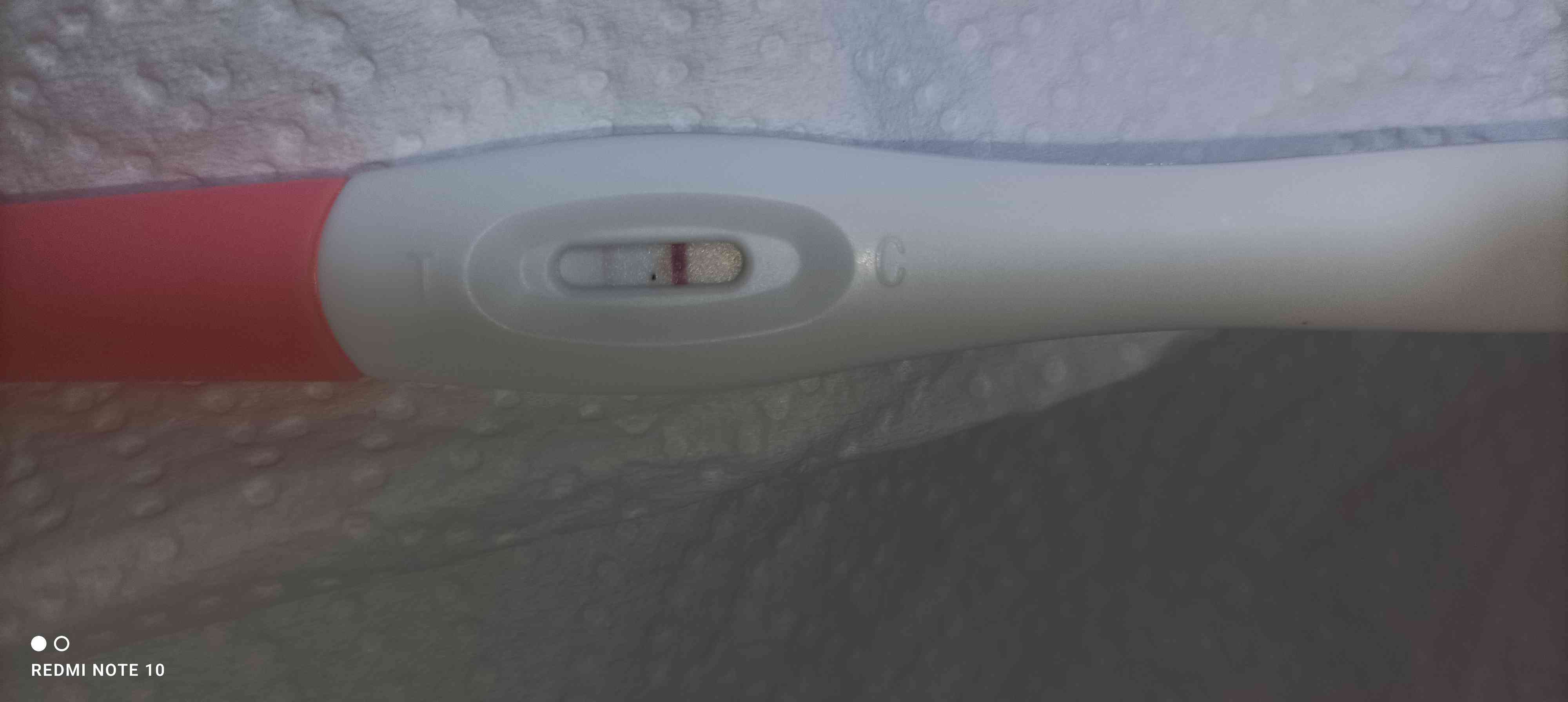 74f596fa-51f1-4c38-96db-2e4f533741b1