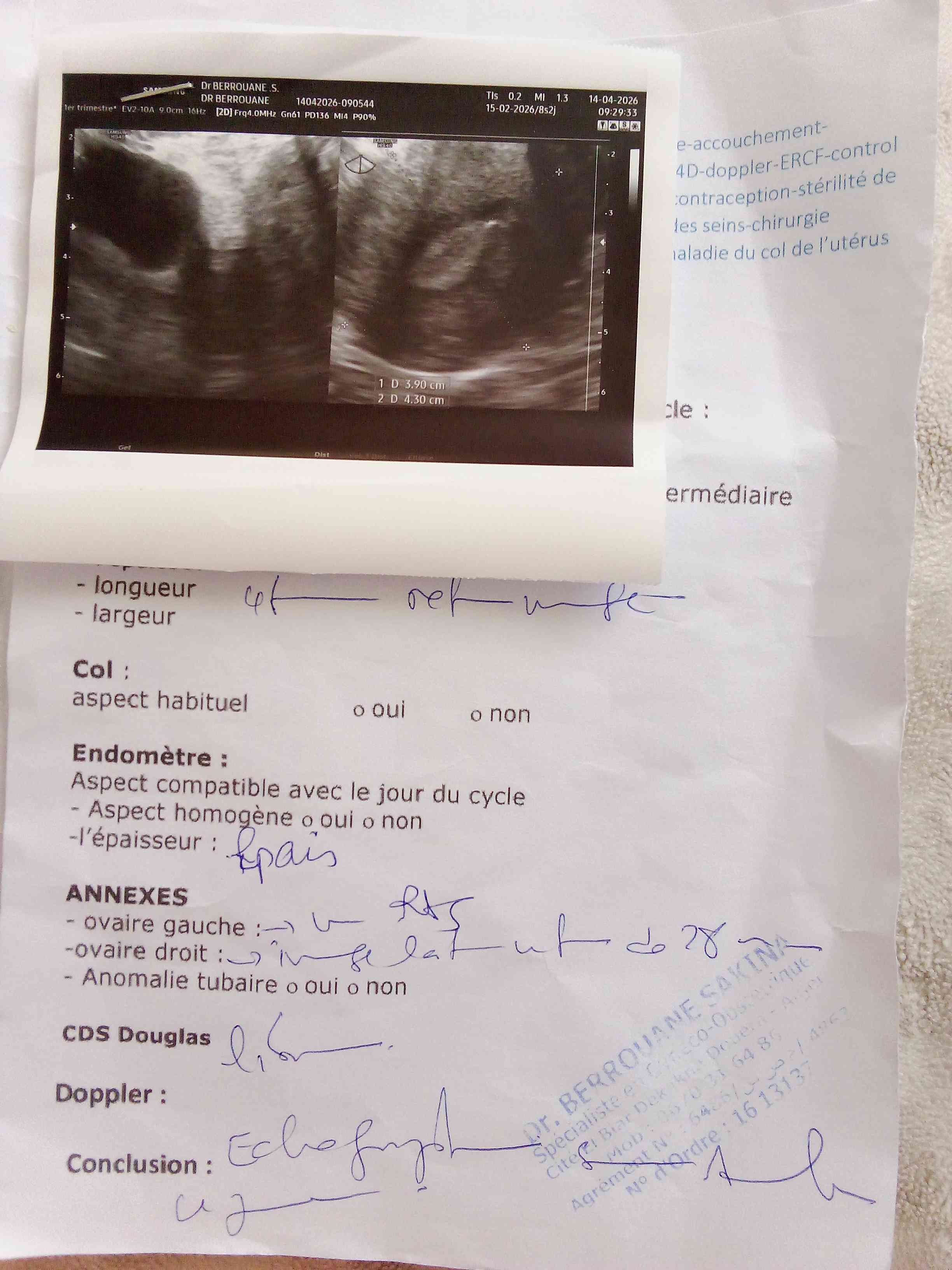 ff91149f-455d-4854-885f-96a733a296ca