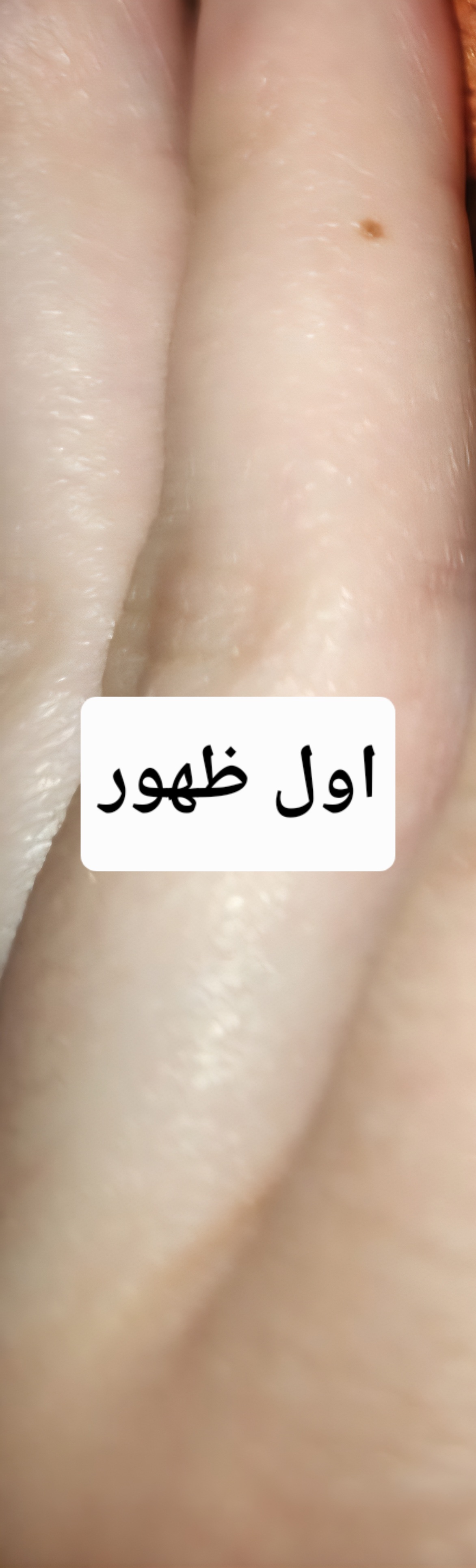 Screenshot_٢٠٢٦٠٧٢٧_٢١١٢١٥_Gallery