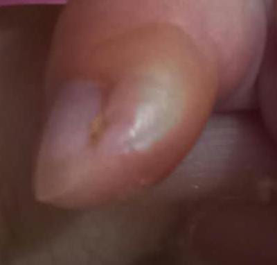 IMG-20260901-WA0035