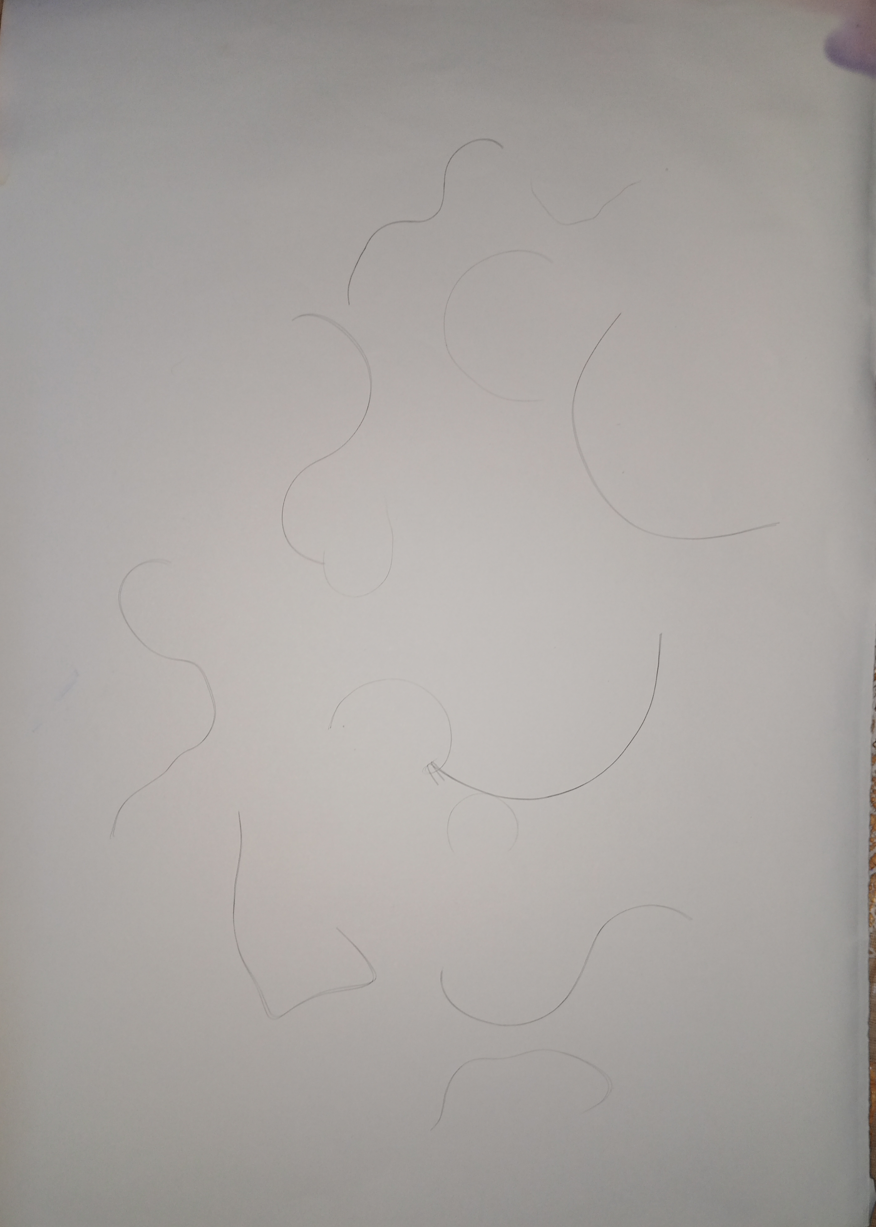 1000100664