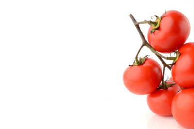 فحص التليف الكيسي