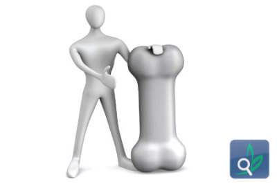 فوائد التوت للذاكرة ووظائف الدماغ