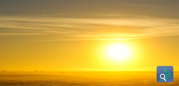 فوائد اليانسون للمراة