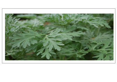 حلول جديدة لعلاج مغص الاطفال الرضع