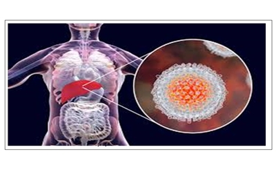 الوقاية من التهاب الكبد الوبائي ب