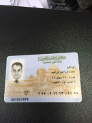 الدكتور انس يسرى