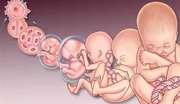 الدكتور محمد النحاس اخصائي في طب الاسرة