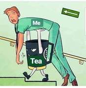 د. احمد الحفناوي اخصائي في طب عام
