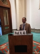 د. حسان ابو جاد