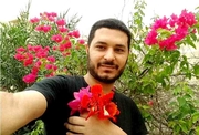 الدكتور طه وفا الدغلي اخصائي في طب الاسرة