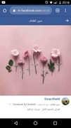 د. وفاء السعدنى اخصائي في طب عام