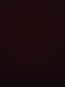 د. سلسبيل نعمان ابو حويلة اخصائي في طب عام