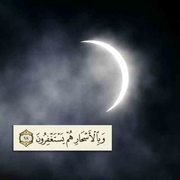 الدكتور امل مصطفى عيد