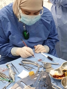 د. مروة المصلح اخصائي في طب اسنان