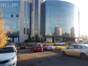 الدكتور بسام الطاهر